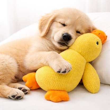 Canard Câlin WookyCalm
